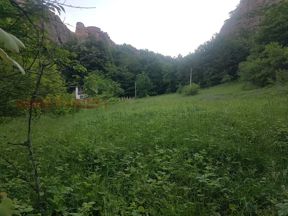 Продава ВИЛА, гр. Белоградчик, област Видин, снимка 9 - Вили - 55833287