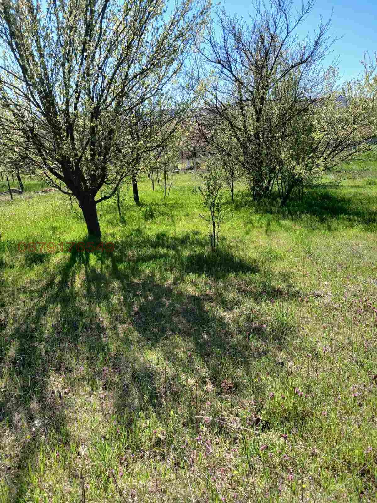 Продава ПАРЦЕЛ, с. Първомайци, област Велико Търново, снимка 3 - Парцели - 54157777