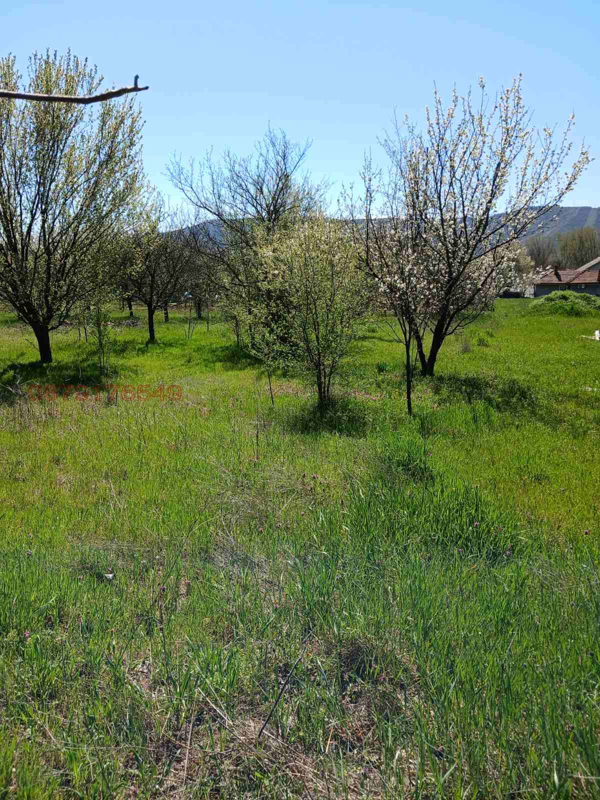 Продава ПАРЦЕЛ, с. Първомайци, област Велико Търново