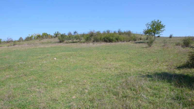 For Sale  Plot region Burgas , Svetlina , 4570 sq.m | 71856787 - image [5]