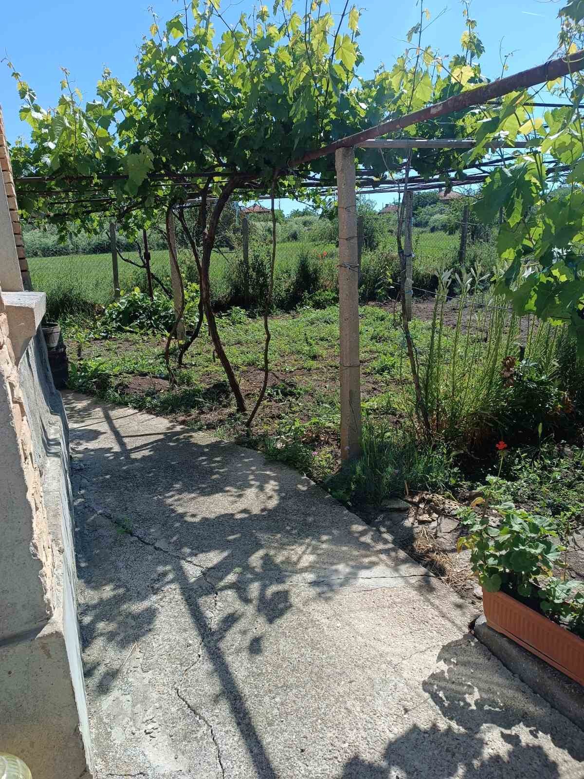 Продава КЪЩА, с. Житница, област Варна, снимка 3 - Къщи - 54895566