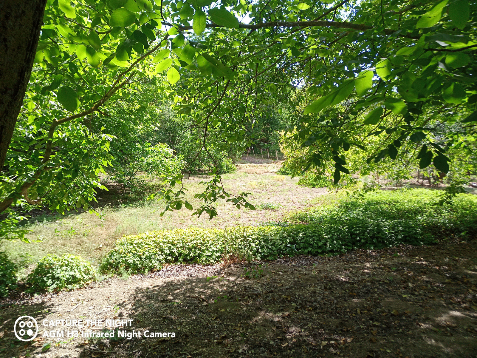 Продава ПАРЦЕЛ | Imot.bg — изображение 7