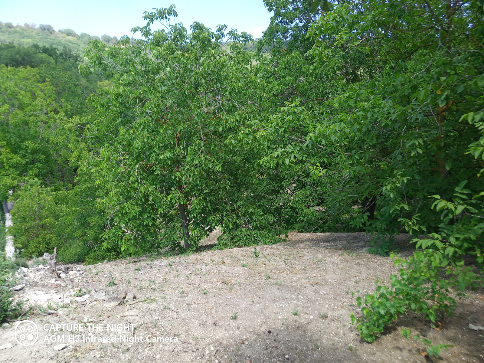 Продава ПАРЦЕЛ | Imot.bg — изображение 5