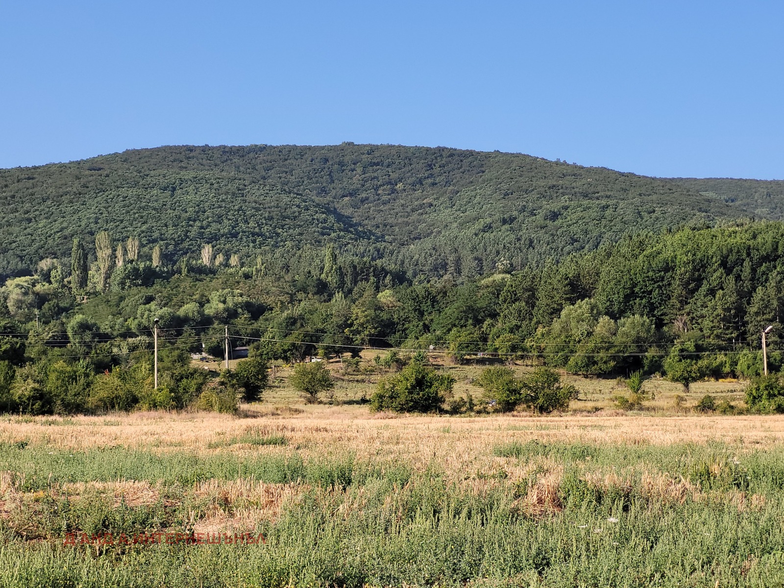 Продава ЗЕМЕДЕЛСКА ЗЕМЯ | Imot.bg — изображение 3