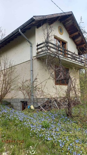 ����� ������� ����,�. ������, ������ ������