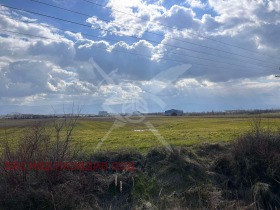 ����� ������� ������,���� �������, ������������ ���� - �����