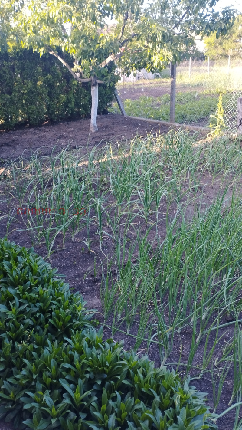 Продава КЪЩА, с. Николаевка, област Варна, снимка 17 - Къщи - 53471087