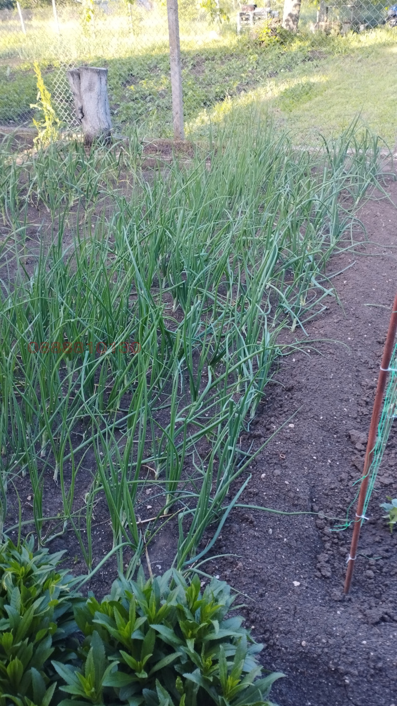 Продава КЪЩА, с. Николаевка, област Варна, снимка 16 - Къщи - 53471087