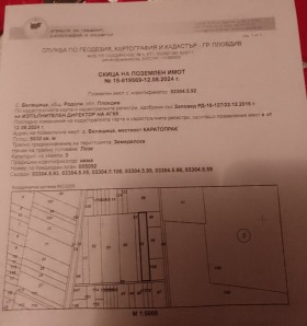 In vendita Complotto