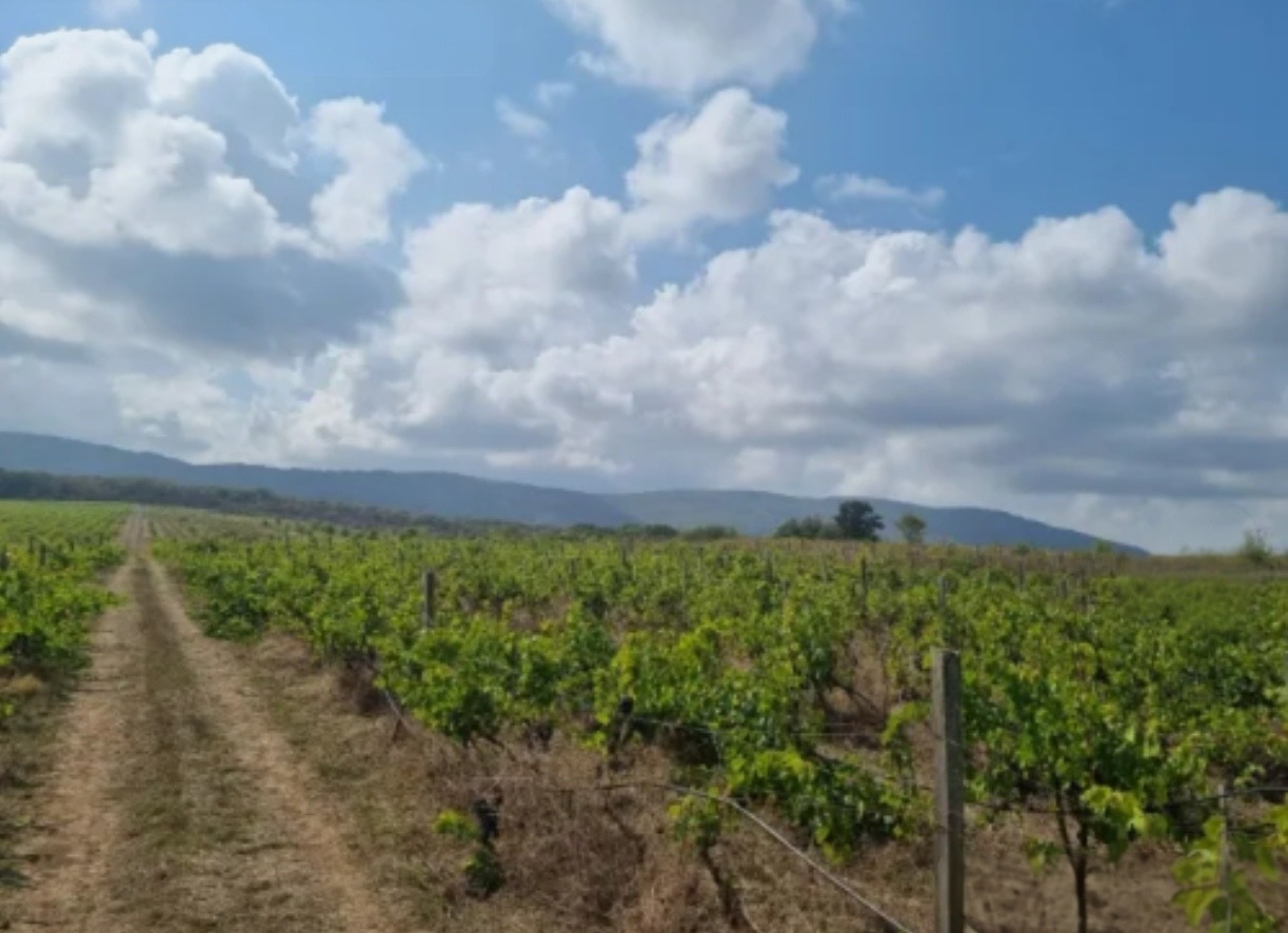 ������� ������ | Imot.bg � ����������� 1