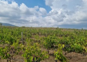 ����� ������� ������,��. ������, ������ ������