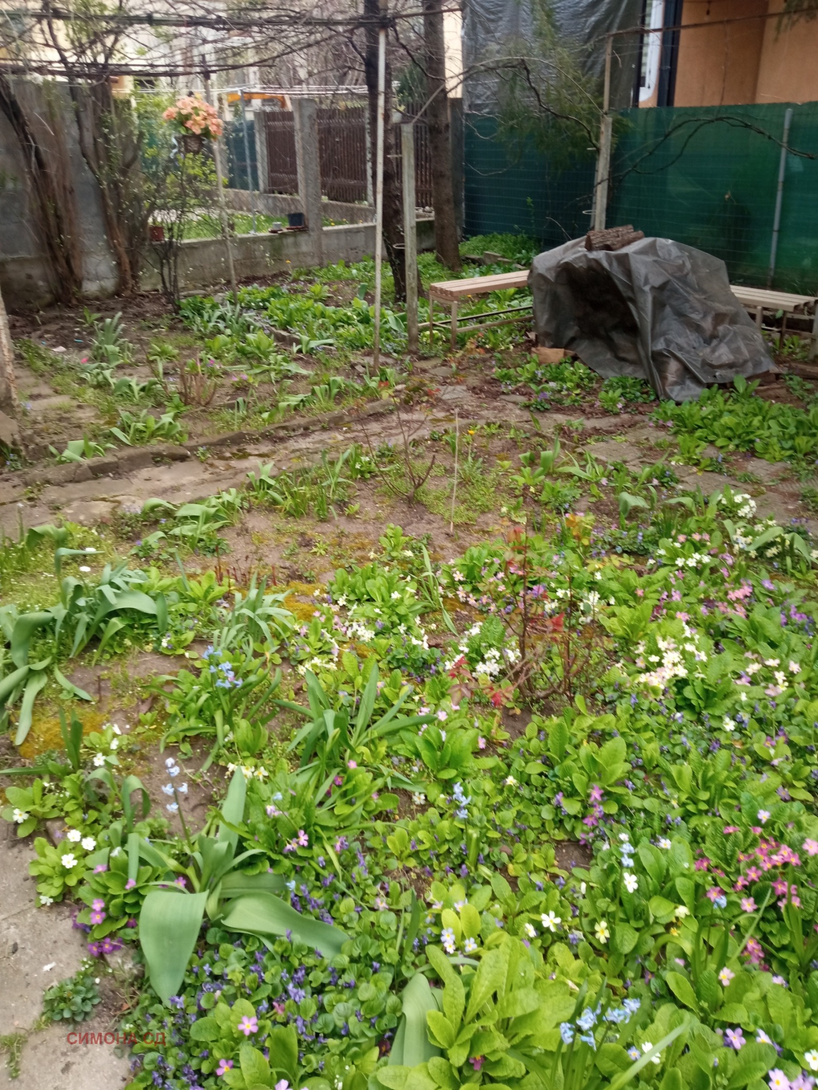 ������� ���� �� ���� | Imot.bg � ����������� 10