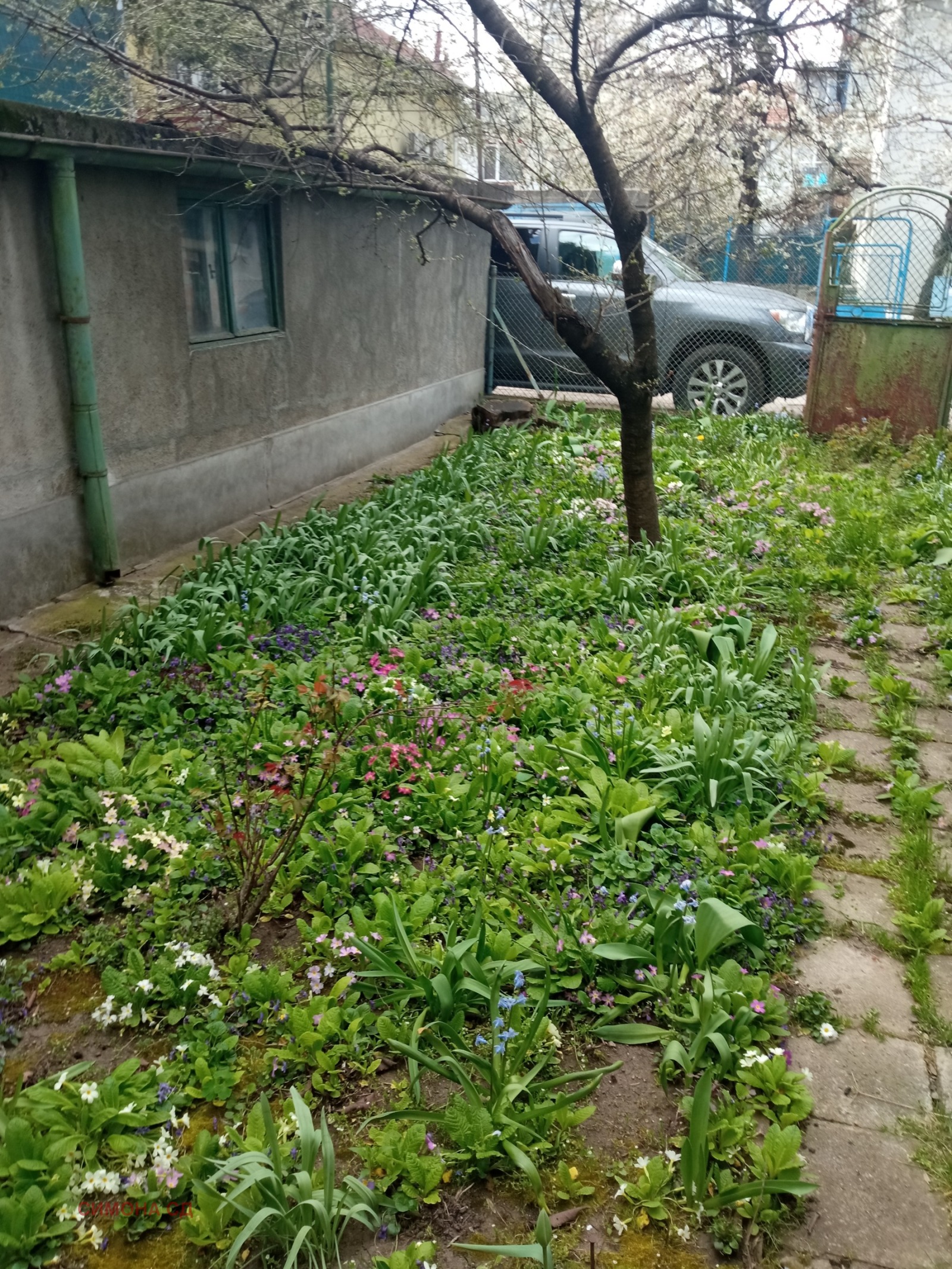 ������� ���� �� ���� | Imot.bg � ����������� 3