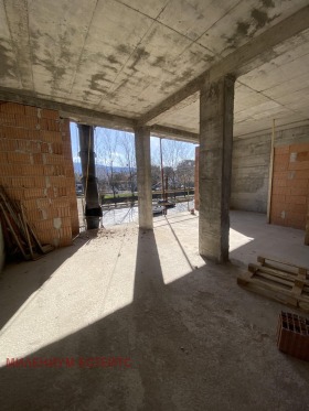 ����� ������� ����,���� �����, ��������