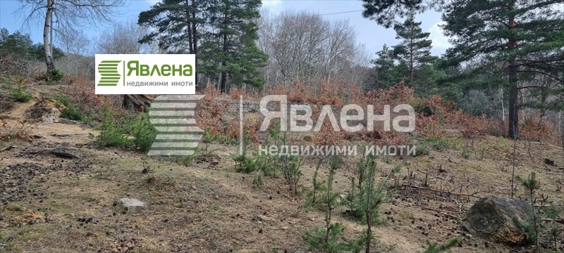 Продава  Парцел град София , с. Владая , 1618 кв.м | 85184985 - изображение [5]