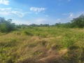 Продава ПАРЦЕЛ, с. Брестник, област Пловдив, снимка 2