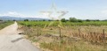 Продава ЗЕМЕДЕЛСКА ЗЕМЯ, с. Първенец, област Пловдив, снимка 2