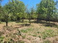 Продава КЪЩА, област София, с. Разлив • 52000 € • 81327118 — Holmes.bg