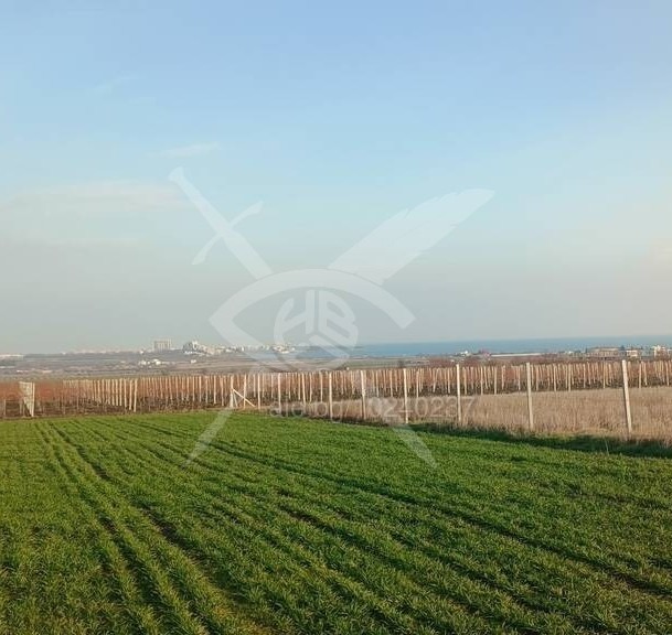 Продава  Парцел град Бургас , Лозово , 7000 кв.м | 49050546