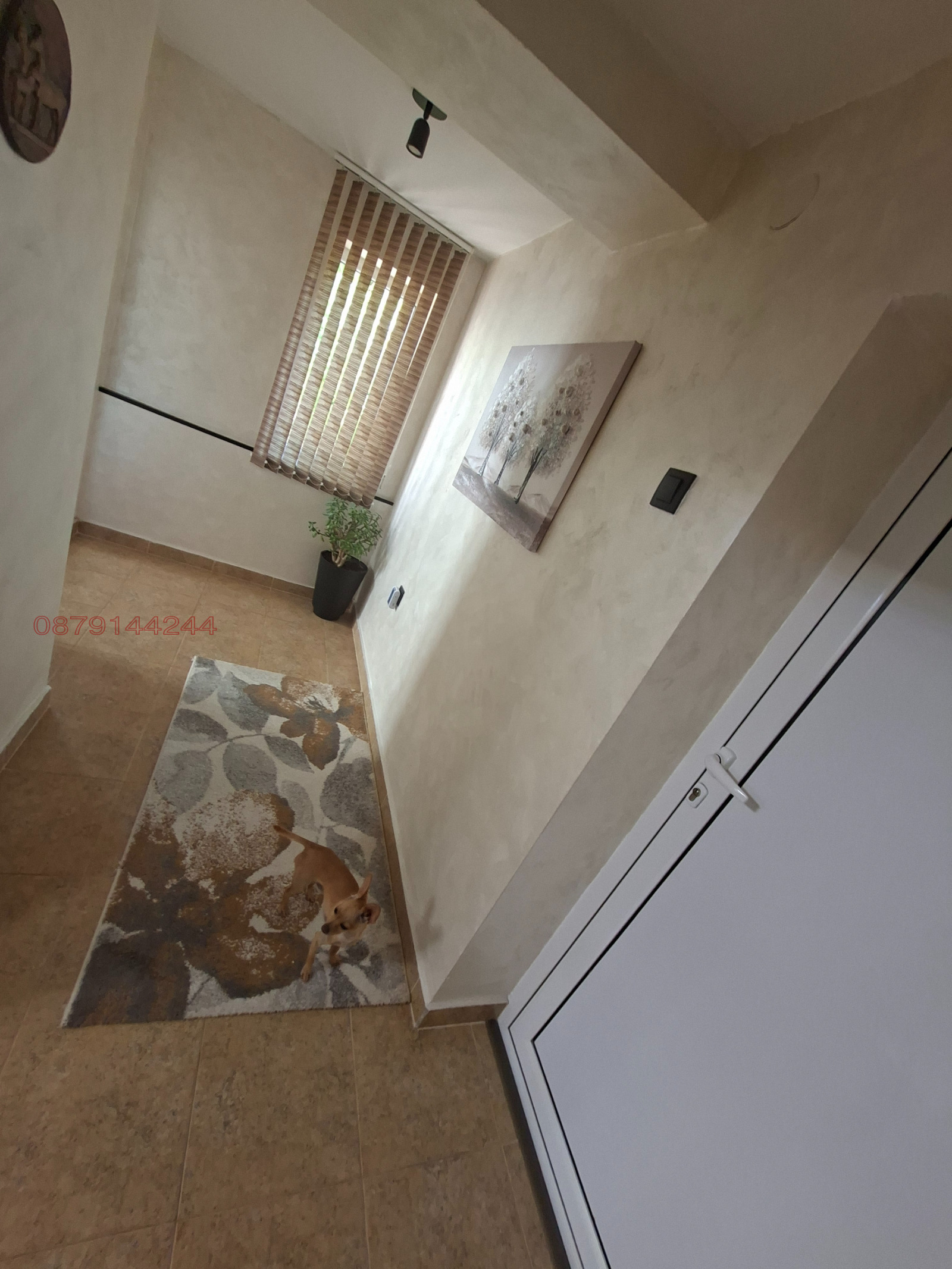 Продава КЪЩА, с. Брестовец, област Плевен, снимка 16 - Къщи - 55667323
