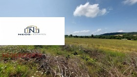 ����� ������� ������,�. �����, ������ ������