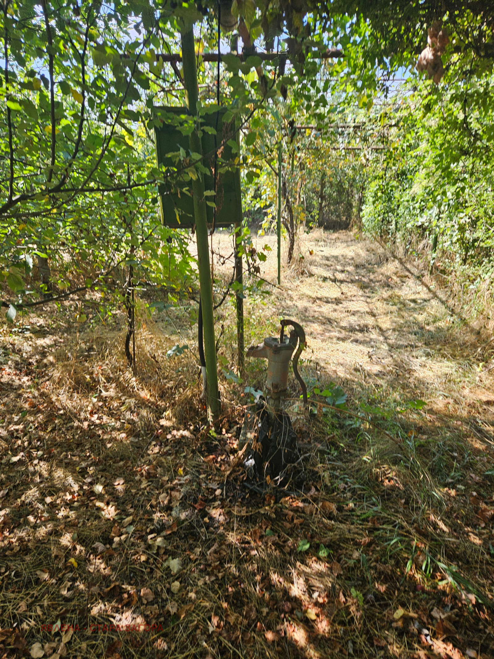 Продава КЪЩА, с. Юлиево, област Стара Загора, снимка 11 - Къщи - 55844219