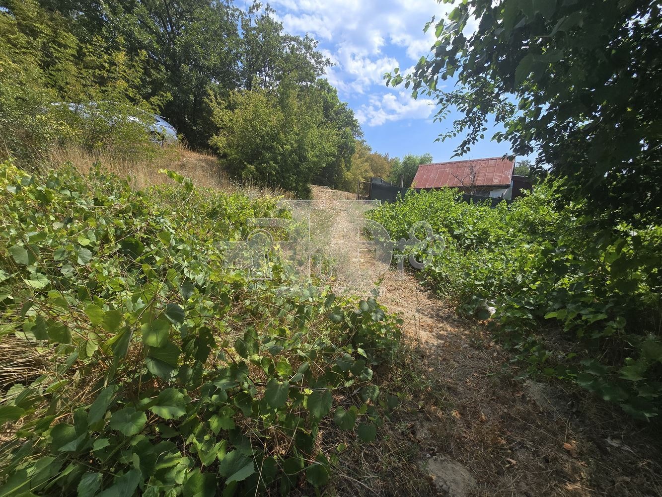 Продава ПАРЦЕЛ | Imot.bg — изображение 7