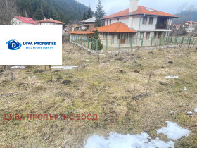 ����� ������� ������,�. ���� �����, ������ �����>