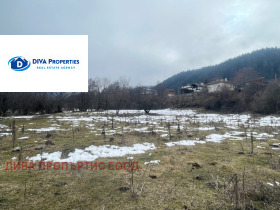 ����� ������� ������,�. ���� �����, ������ �����