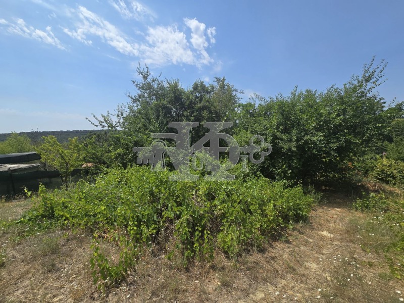 À venda  Trama Varna , m-t Rakitnika , 630 m² | 41869769 - imagem [5]