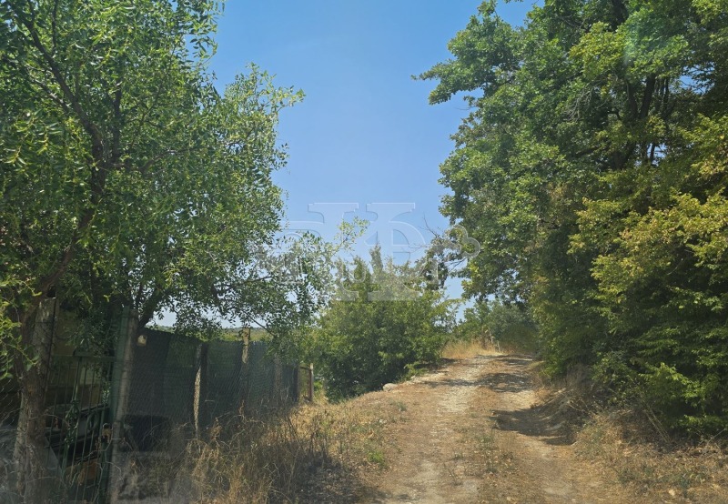 À venda  Trama Varna , m-t Rakitnika , 630 m² | 41869769 - imagem [9]