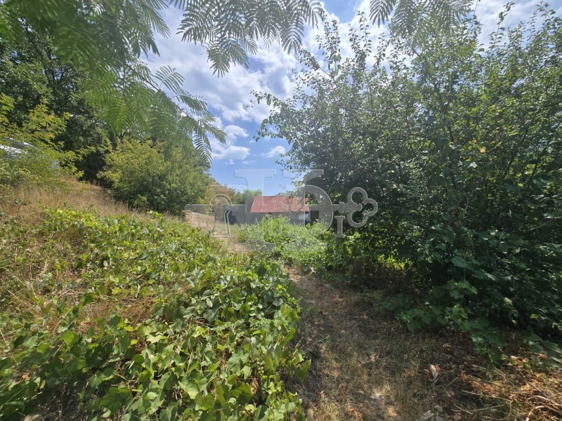 À venda  Trama Varna , m-t Rakitnika , 630 m² | 41869769 - imagem [6]