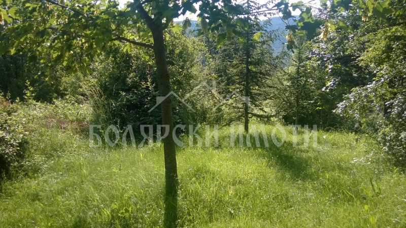 Till salu  Komplott region Gabrovo , Stantjov han , 508 kvm | 50377597 - bild [4]