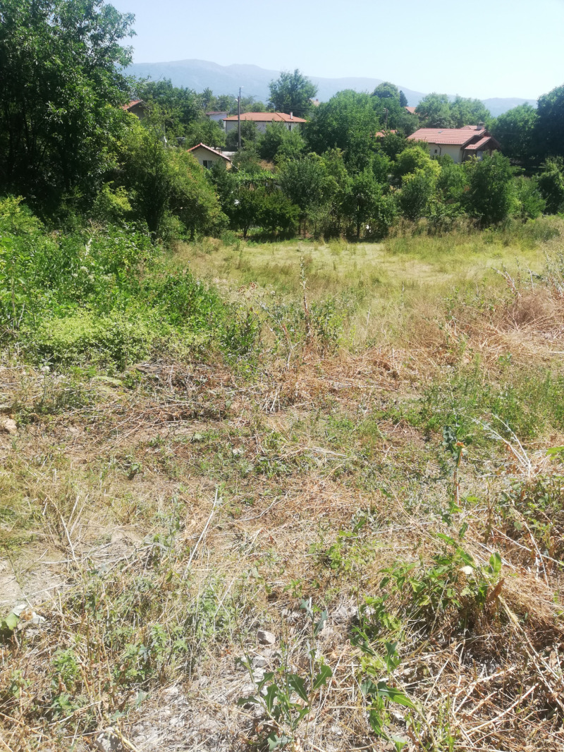 Eladó  Cselekmény régió Pernik , Kralev dol , 708 négyzetméter | 64766114 - kép [4]