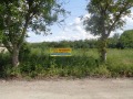 Продава ПАРЦЕЛ, гр. Търговище, Промишлена зона, снимка 2