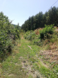 Продава ПАРЦЕЛ, област Перник, с. Кралев дол • 30000 € • 64961043 — Holmes.bg