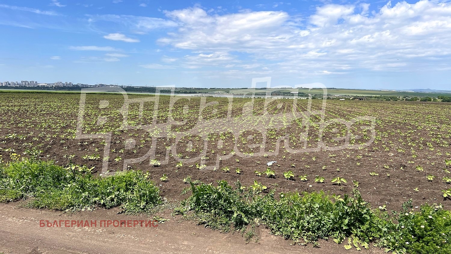 ������� ������ | Imot.bg � ����������� 3