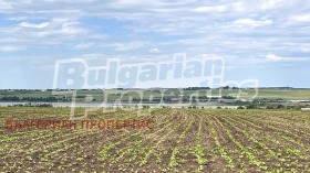 ������� ������ | Imot.bg � ����� ������ 9