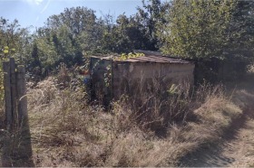 ������� ������ | Imot.bg � ����� ������ 8