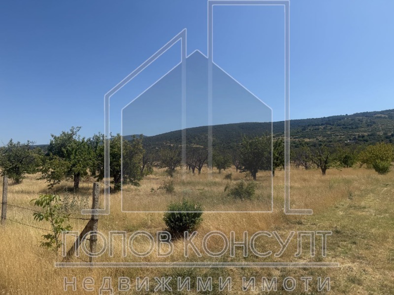 Na prodej  Spiknutí oblast Plovdiv , Brestnik , 5201 m2 | 12645420 - obraz [2]