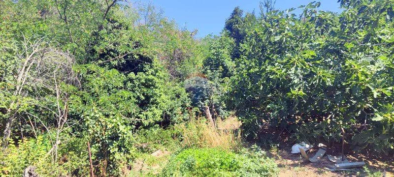 Продаја  Плот Варна , м-т Салзица , 867 м2 | 27319391 - слика [5]
