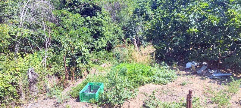 Продаја  Плот Варна , м-т Салзица , 867 м2 | 27319391 - слика [4]