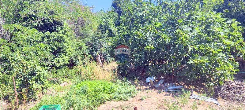 Продаја  Плот Варна , м-т Салзица , 867 м2 | 27319391 - слика [8]