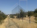 Продава ПАРЦЕЛ, с. Брестник, област Пловдив, снимка 1
