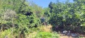 Продава ПАРЦЕЛ, град Варна, м-т Сълзица • 59900 € • 54029360 — Holmes.bg