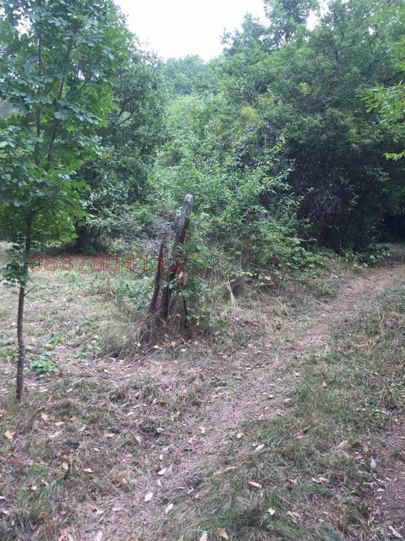 ������� ������ | Imot.bg � ����������� 2