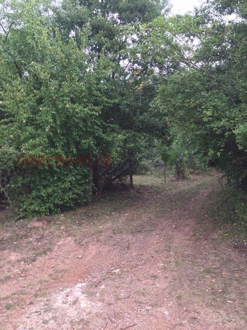 ������� ������ | Imot.bg � ����������� 1