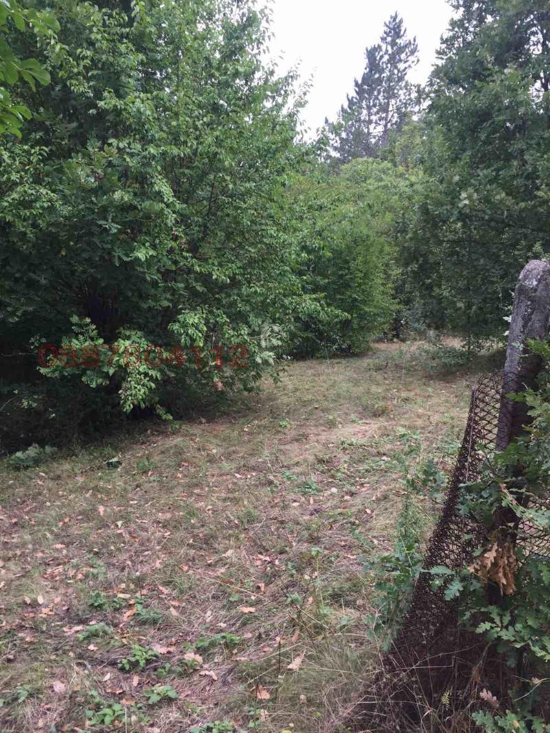 ������� ������ | Imot.bg � ����������� 3