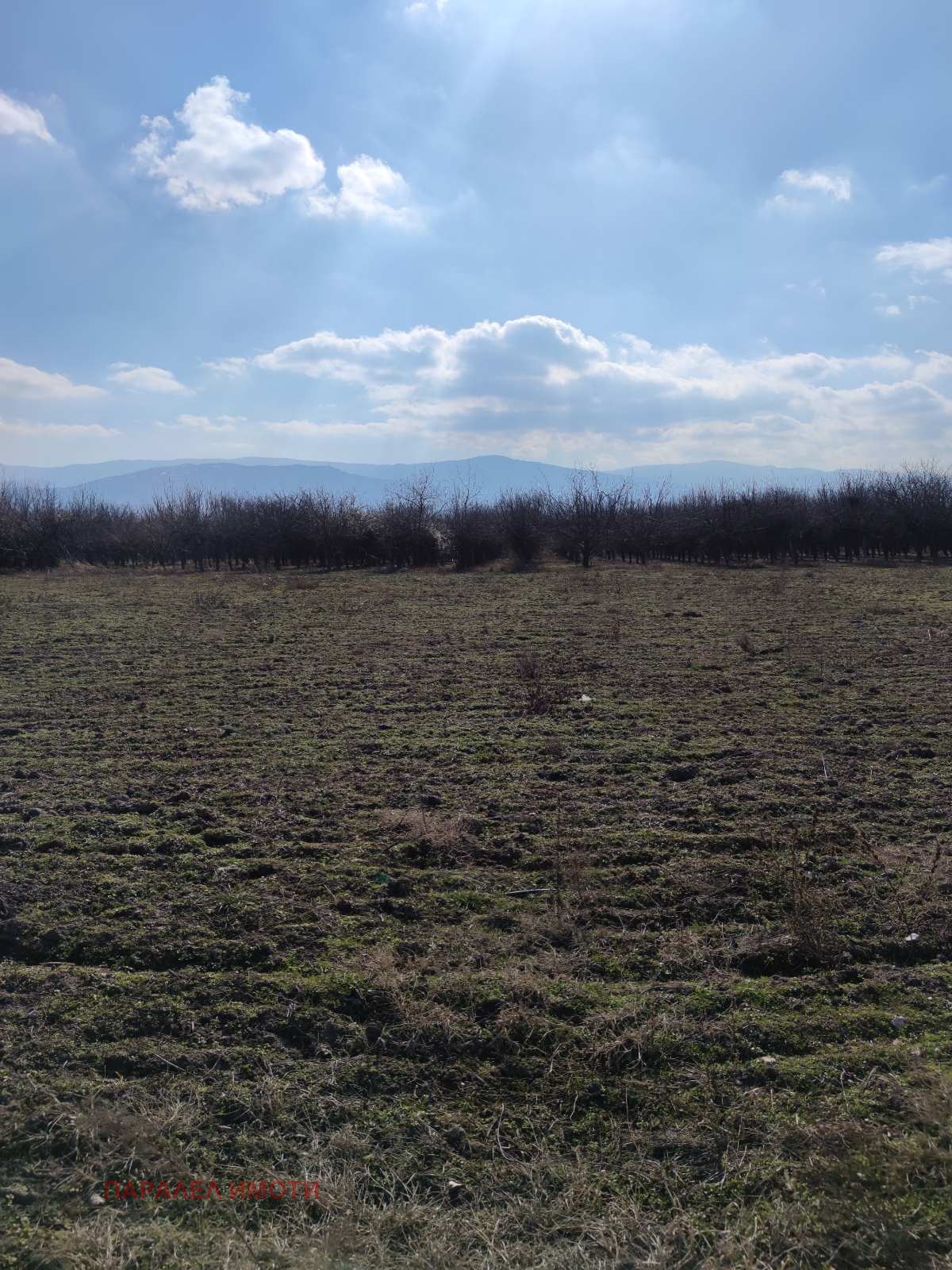 ������� ������ | Imot.bg � ����������� 5