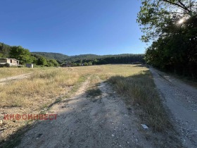 Парцел гр. Велинград, област Пазарджик 1